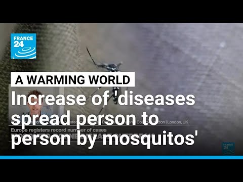 Mosquito-borne diseases: ‘As world warms, parasites, diseases and viruses become more transmissible’
