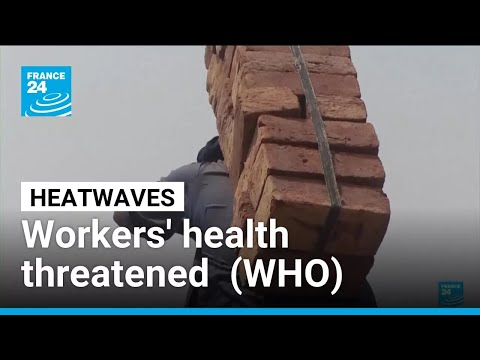Workers’ health threatened by heatwaves, WHO claims • FRANCE 24 English