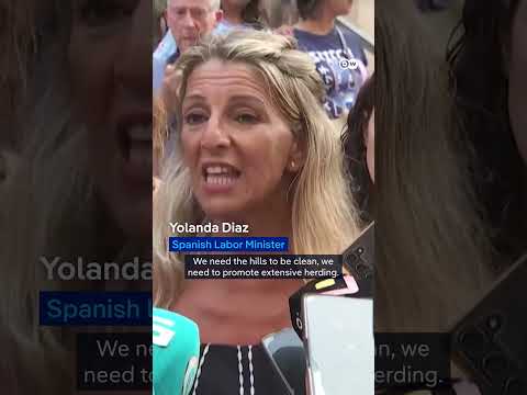 Protesters in Spain slam handling of wildfires | DW News