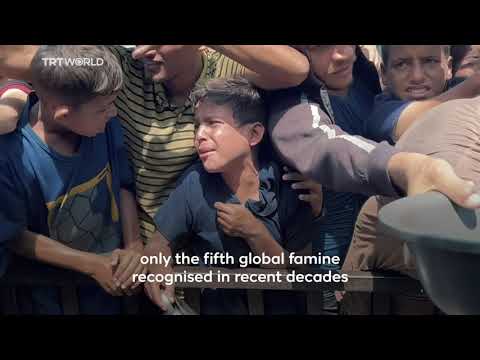 UN confirms famine in Gaza, a first time in Middle East history