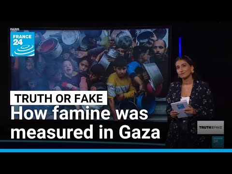 Famine in Gaza City: Did the UN’s hunger monitor ‘forge’ the numbers? • FRANCE 24 English
