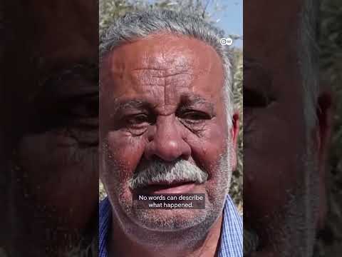 Israeli army uproot hundreds of olive trees in West Bank | DW News