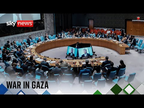 United Nations Security Council meeting on situation in Middle East