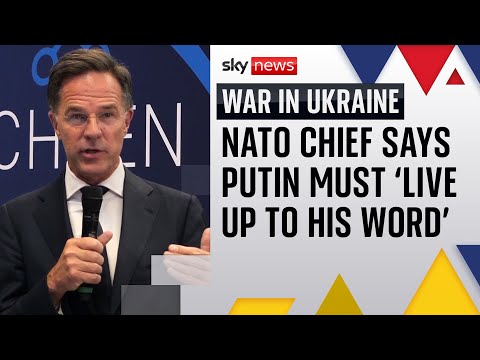 Mark Rutte says Putin has not committed to meeting Zelenksyy | War in Gaza