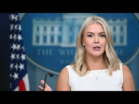 Watch Live: White House holds briefing as Fed governor Lisa Cook sues Trump over attempted firing