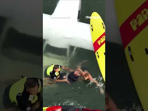WATCH: Pilot rescued from ocean after stunning crash landing #foxnews #news #shorts