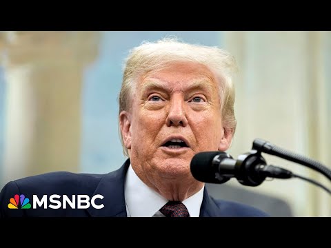 Trump is ‘treating people like they’re stupid’ with tariffs