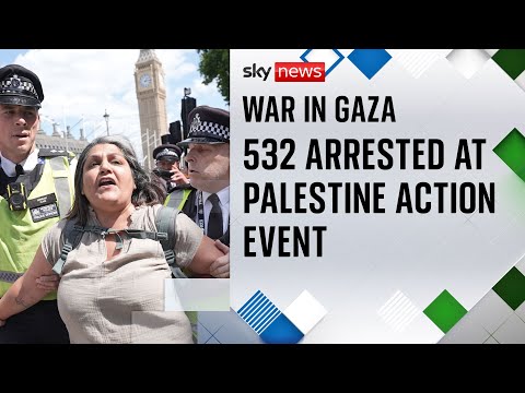 Did Palestine Action supporters achieve their goal?
