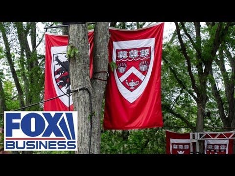 Harvard is more concerned about protecting their endowment than structural reform, alumnus says