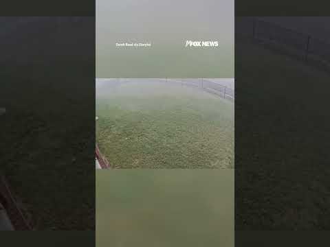 WATCH: Surveillance footage captures tree crashing into home #shorts #usa #us #news #viral