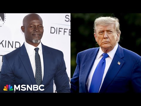 ‘History can unite us’: Djimon Hounsou talks importance of preserving stories in age of Trump