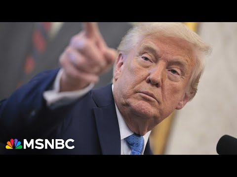 Trump is not more powerful than us: DNC Vice Chair on the national momentum against a Trump takeover