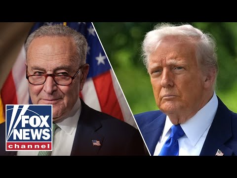 Chuck Schumer calls Trump ‘a THREAT to democracy’