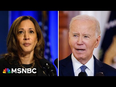 VP Harris was in ‘worst position’ to make case for Biden dropping out: ‘107 Days’ excerpt