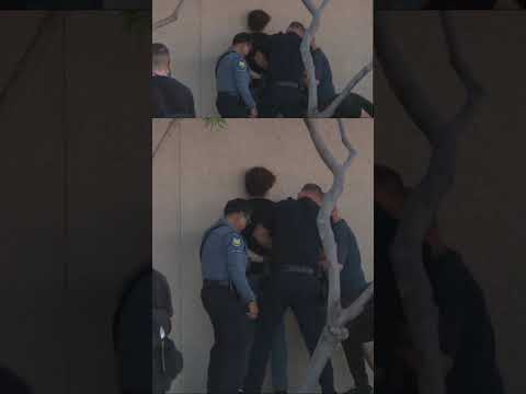 Man caught vandalizing Charlie Kirk memorial outside TPUSA headquarters #shorts #foxnews #us