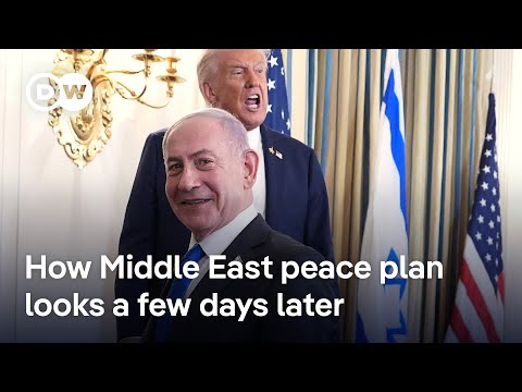 What Hamas’s response to the peace plan might be | DW News