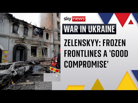 Zelenskyy hails Trump peace proposal | War in Ukraine