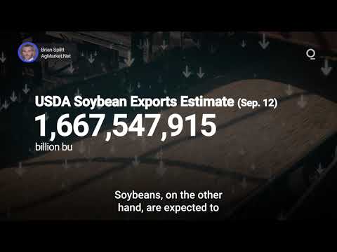 US Farmers Face Shifting Export Outlook | Presented by CME Group