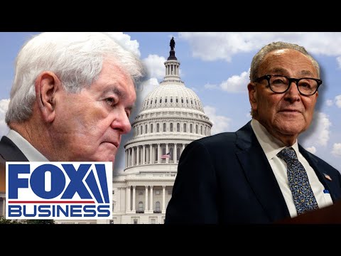 Newt: Schumer shutdown has become ‘A TRAP’ for Dems