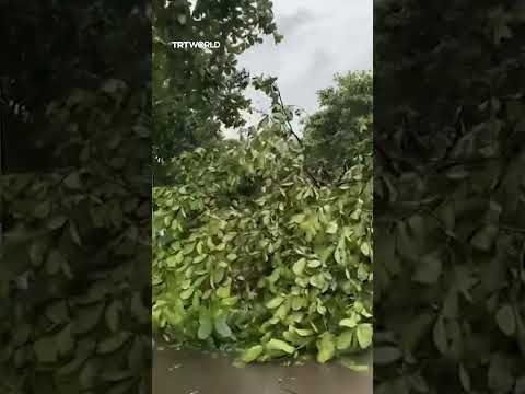 Thousands displaced by Typhoon Matmo’s second landfall in China