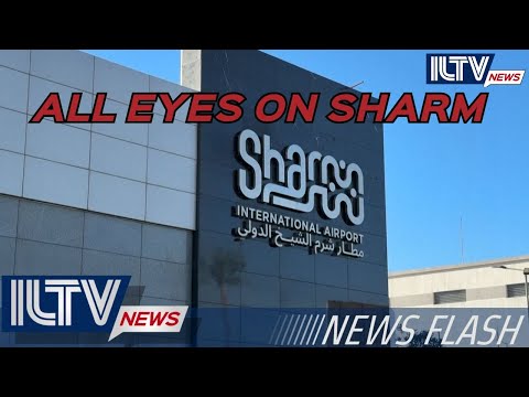 ILTV Morning News Flash – War Day 733 | October 08, 2025