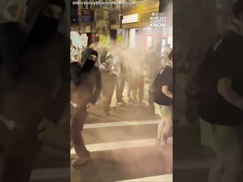 Arrests made after pro-Palestine demonstration in Boston