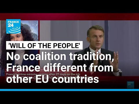 Hind Ziane: Solution to France’s political crisis is to call snap elections, build absolute majority