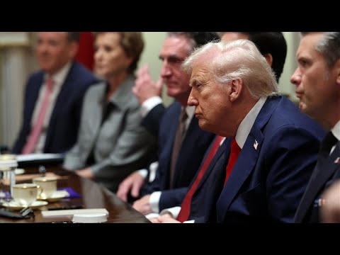 Trump provides new details on Gaza peace deal