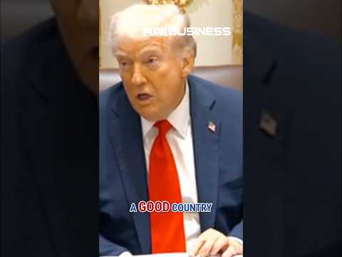 Democrats are ‘trying to obstruct,’ Trump says #shorts