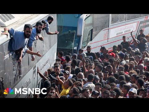 What’s next for Gaza? ‘First step is to move Hamas out’: Foreign policy expert