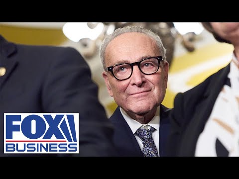 Schumer ‘forced’ into shutdown? GOP lawmaker explains