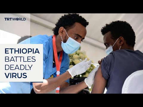 Ethiopia on high alert after first Marburg virus outbreak