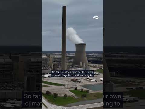 COP30: 80+ countries demand fossil fuel phaseout | DW News