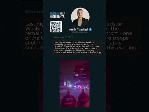 Telegram Daily Highlights: November 28, 2025