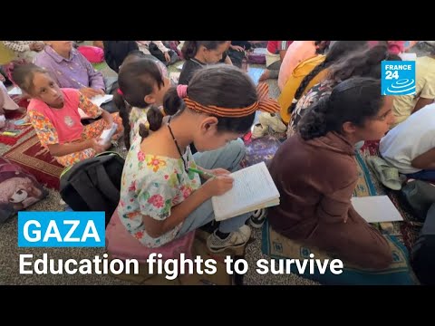 In Gaza, education fights to survive • FRANCE 24 English