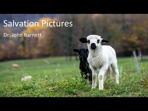 UNDERSTANDING GOD’S PLAN–Salvation Pictures