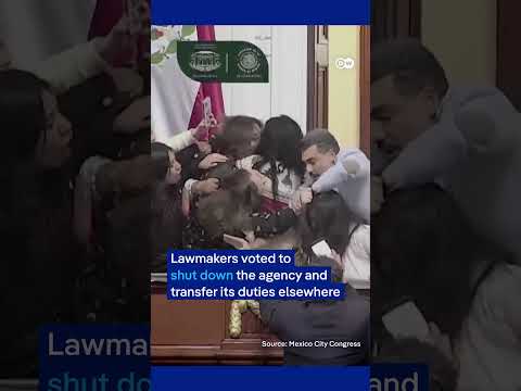 Hair-pulling brawl in Mexico City’s Congress | DW News