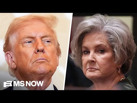 Susie Wiles gives frank and unguarded interview about Trump admin