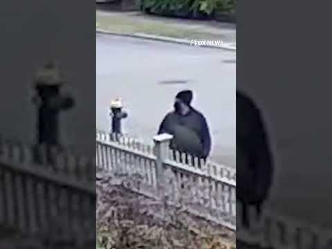 $50K REWARD: Do you recognize him? #shorts #crime #news #us