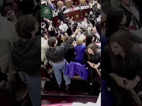 Chaotic Scene Unfolds as Fight Breaks Out During Congress Floor Debate in Mexico City #shorts