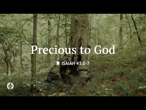 Precious to God | Audio Reading | Our Daily Bread Devotional | December 17, 2025