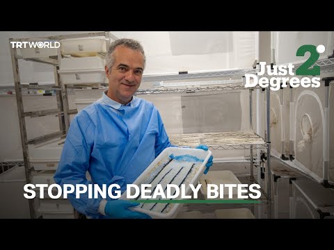 The scientist trying to rid the world of mosquito-borne diseases