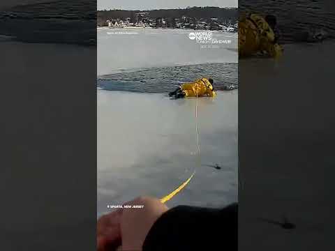 New Jersey officer rescues dog that fell into icy lake
