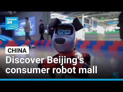 Customers fill in to Beijing’s new consumer robot shopping centre • FRANCE 24 English
