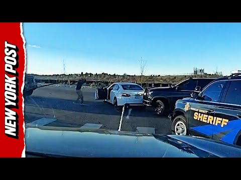 Watch Police Grapple Stolen Car In Wild Dashcam Stop