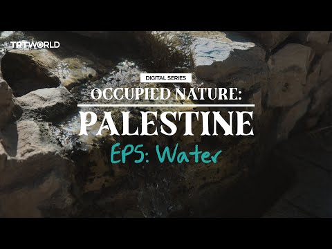 Occupied Nature: Palestine – Episode 5: Water