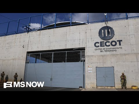 “They absolutely were tortured, abused”: Lawyer for hundreds of migrants sent to CECOT