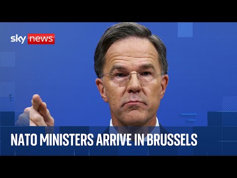 NATO foreign ministers meet as Ukraine peace talks continue