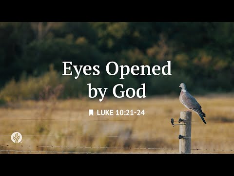 Eyes Opened by God | Audio Reading | Our Daily Bread Devotional | December 26, 2025