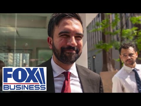 Zohran Mamdani has no interest in this, New York assemblyman says